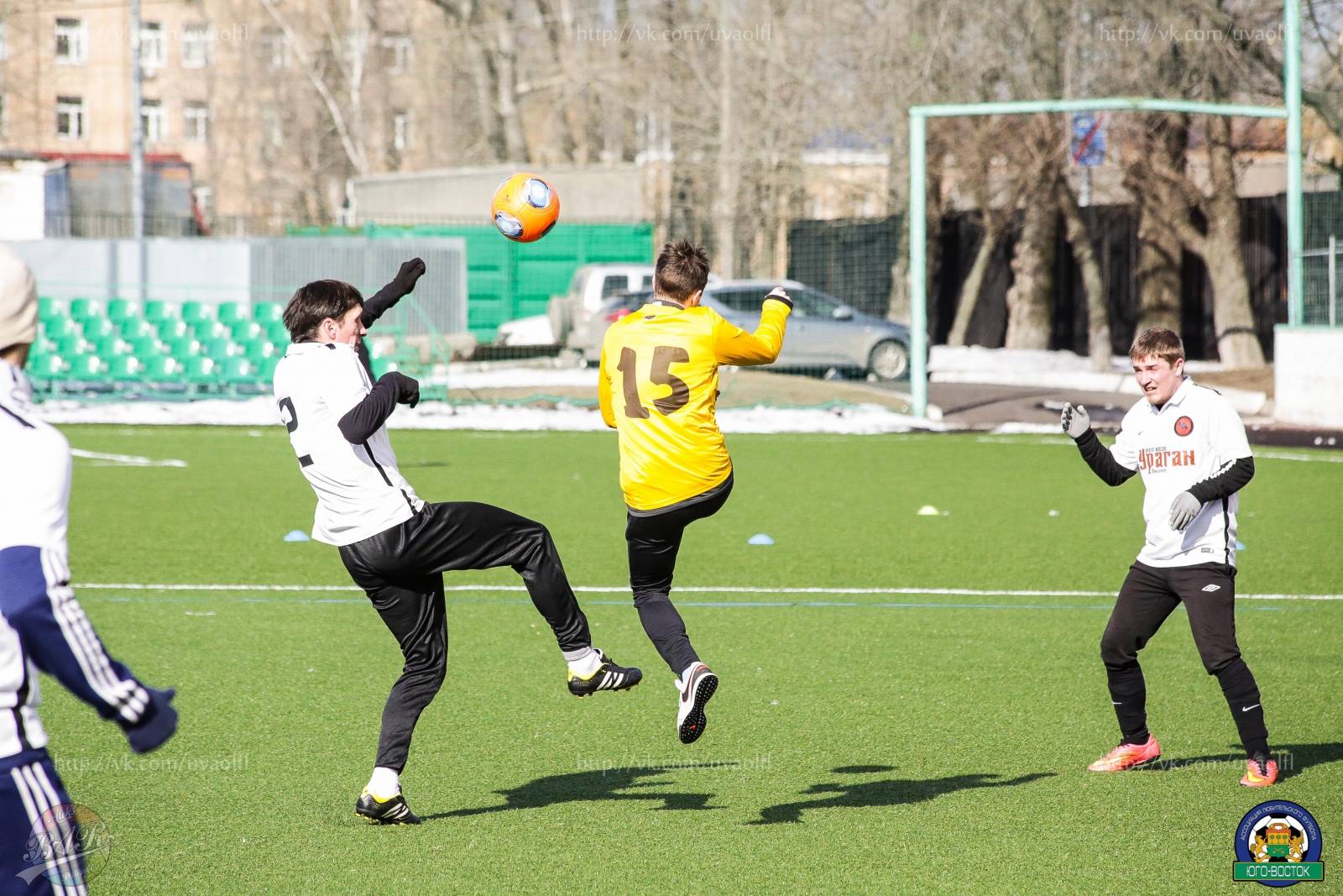 ALBA8375.jpg ALBA8375.jpg