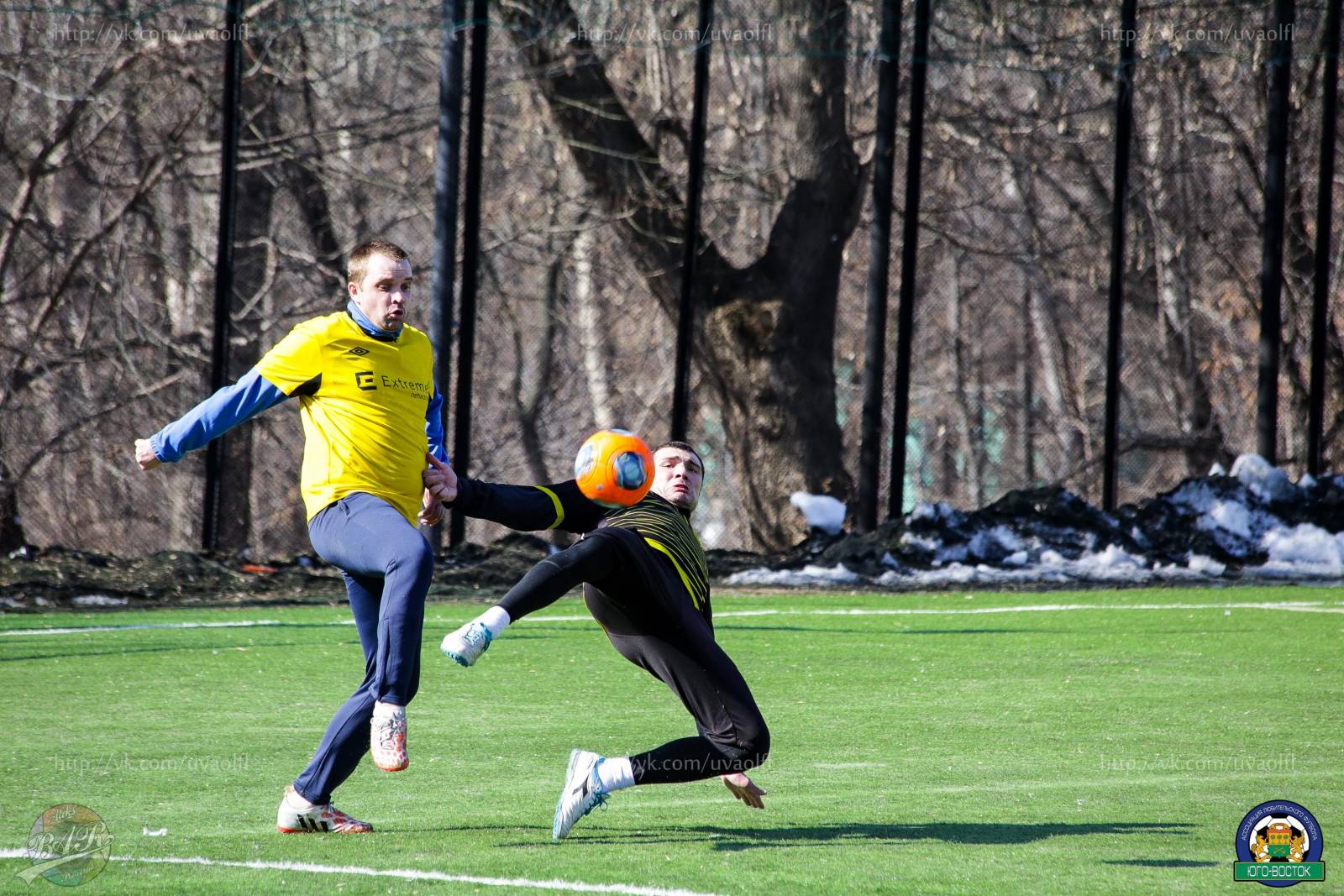 ALBA8633.jpg ALBA8633.jpg