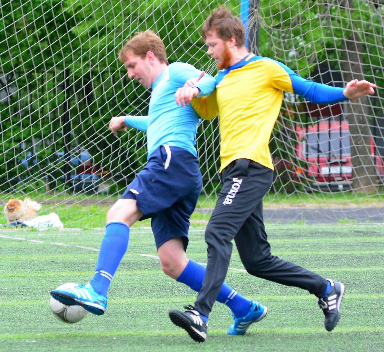 DSC 9353 (1280x1173)