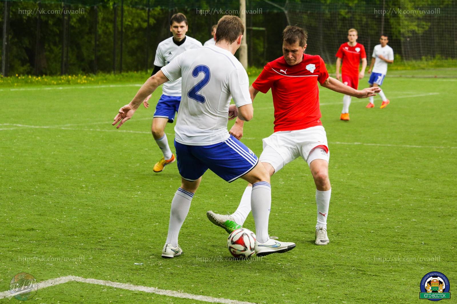 ALBA5492-123.jpg ALBA5492-123.jpg