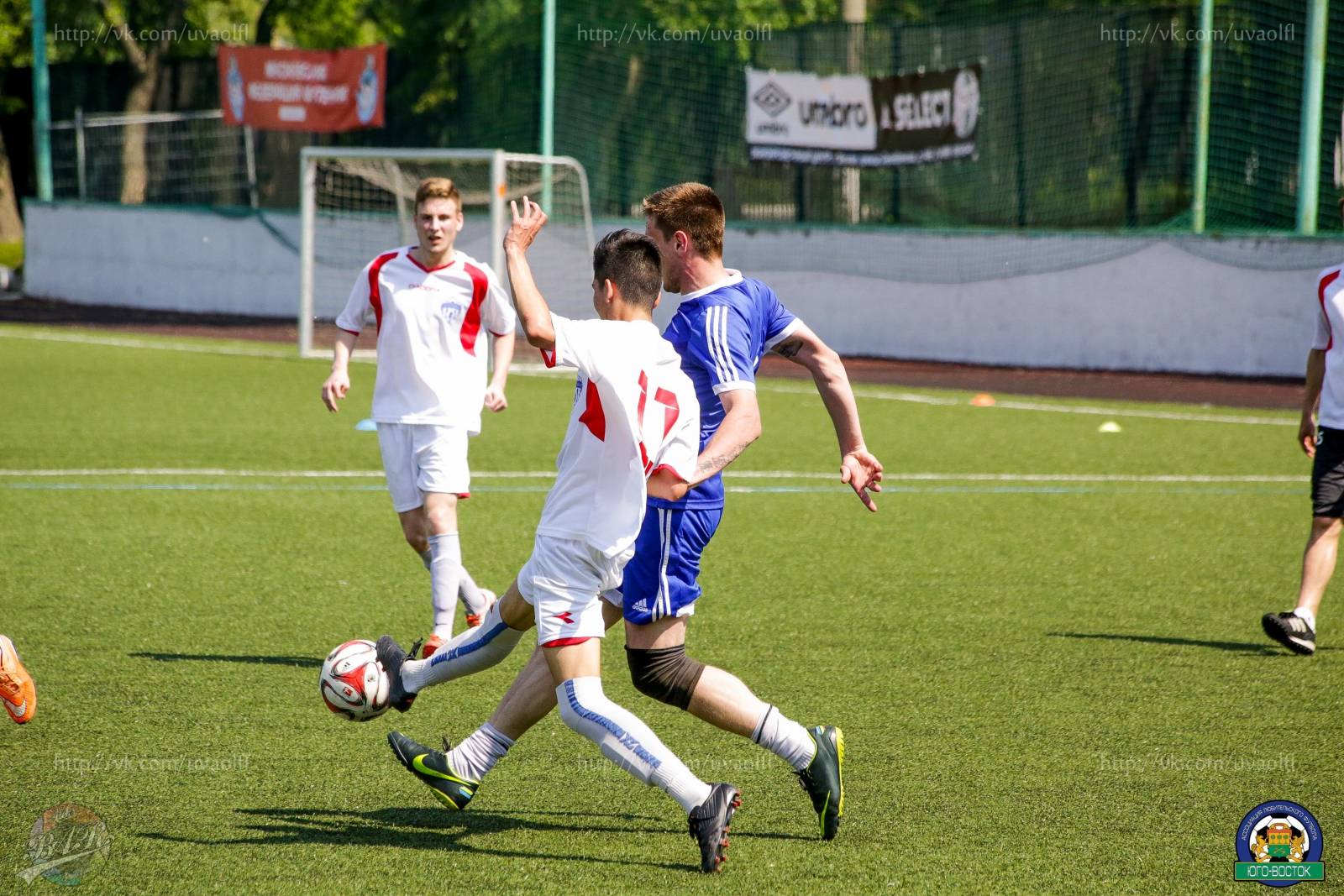 ALBA6468-48.jpg ALBA6468-48.jpg