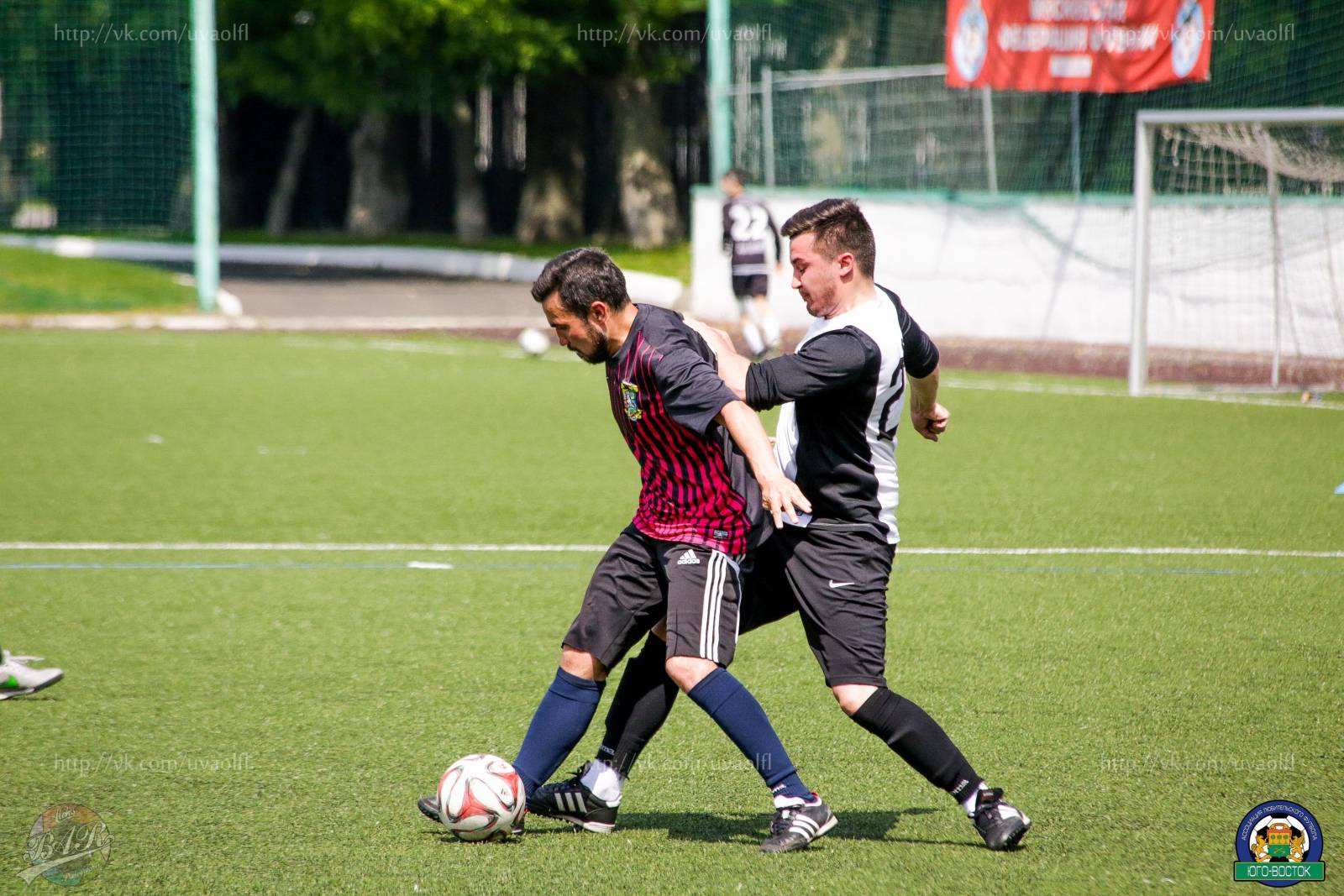 ALBA6543-97.jpg ALBA6543-97.jpg