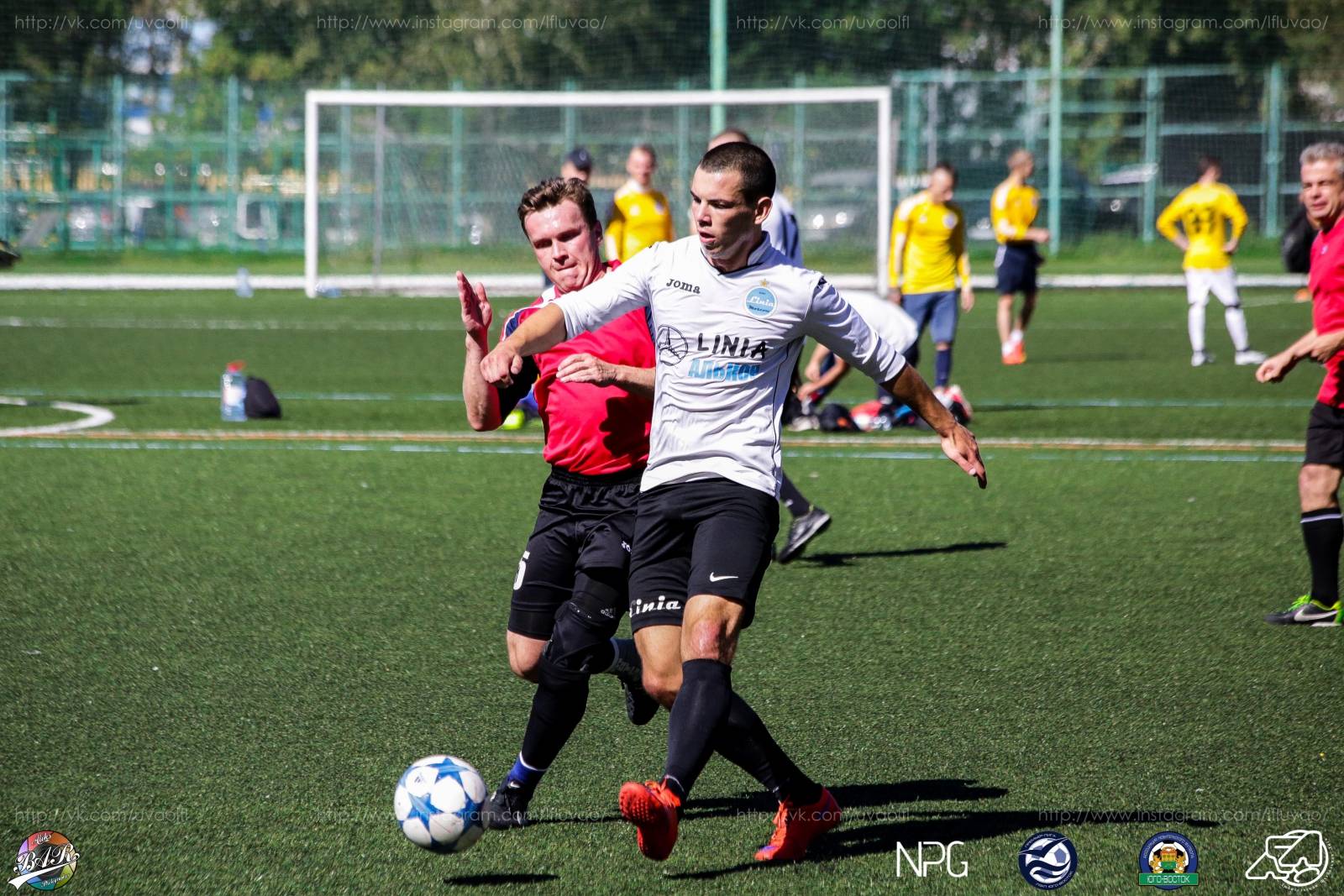 ALBA5593.jpg ALBA5593.jpg