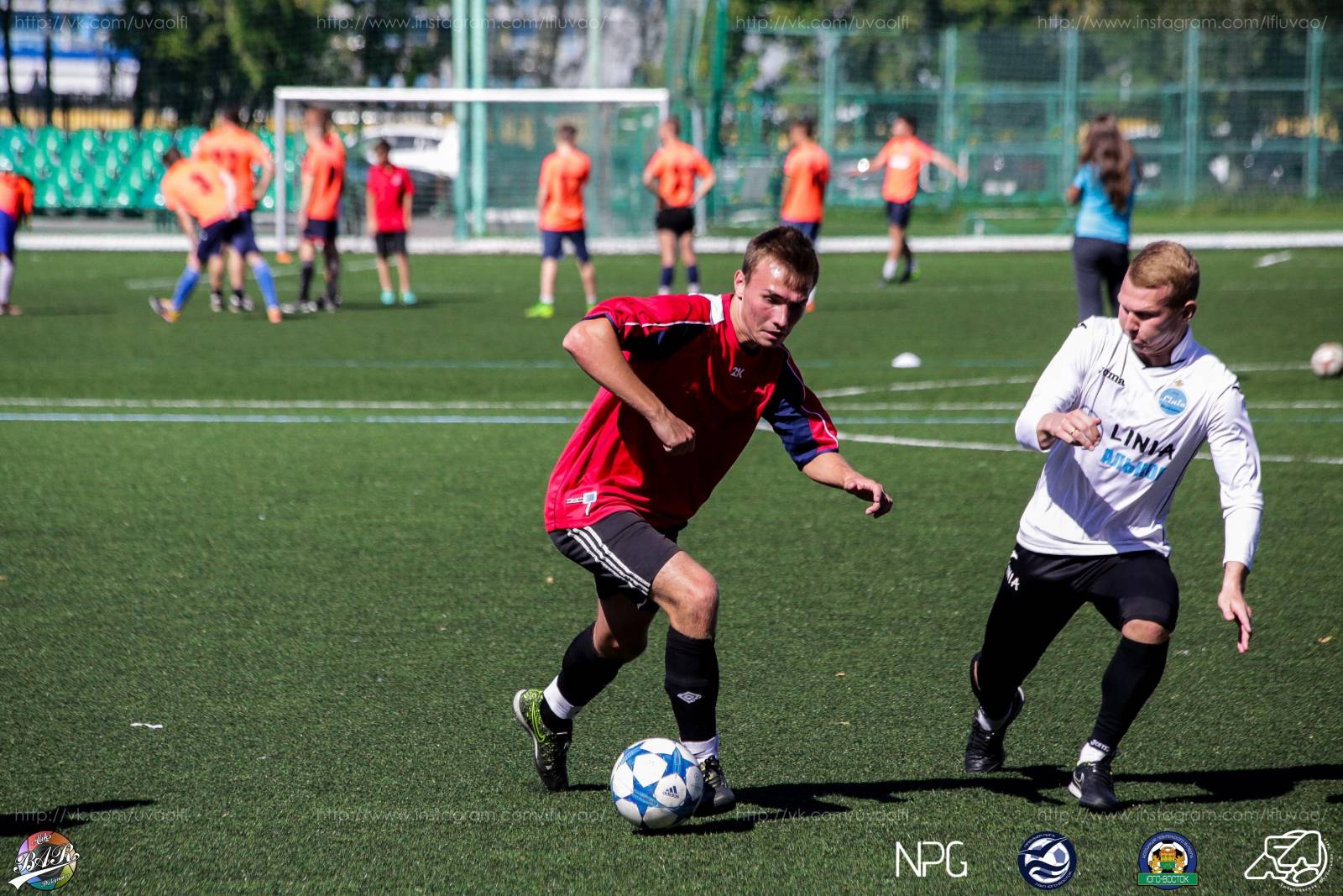 ALBA5594.jpg ALBA5594.jpg