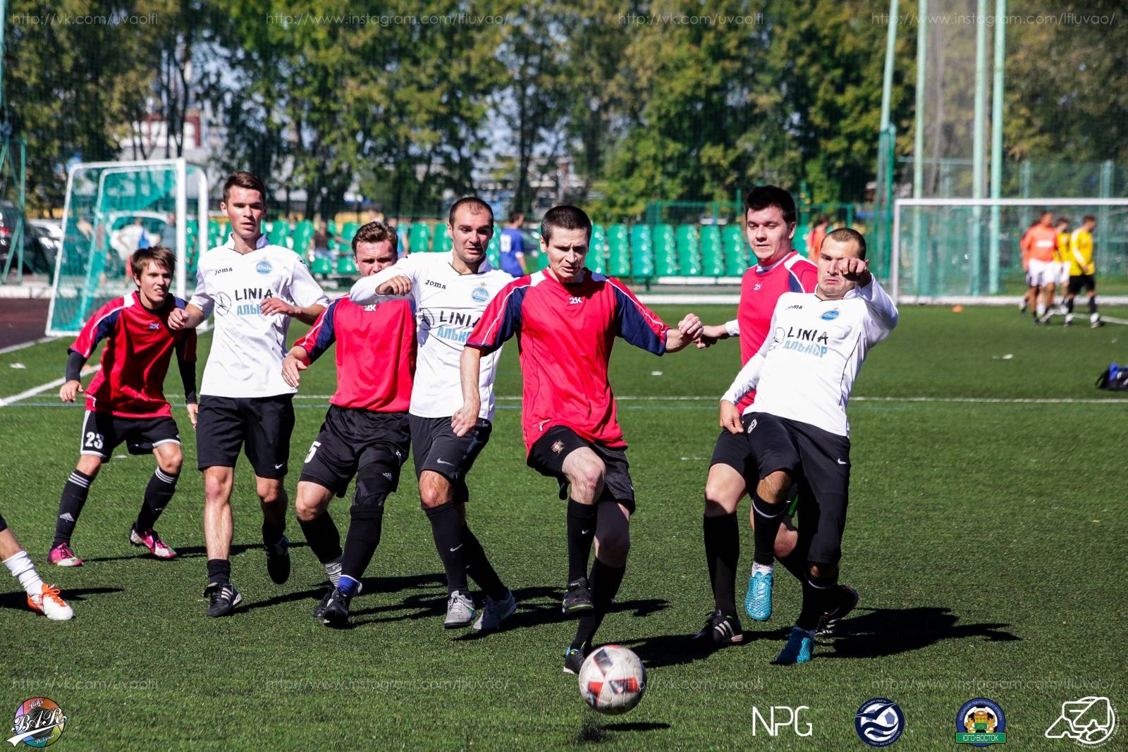 ALBA5595.jpg ALBA5595.jpg