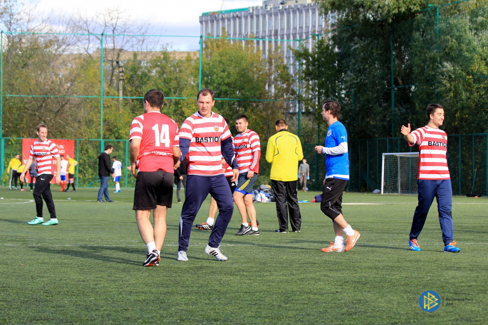 IMG_7333.jpg