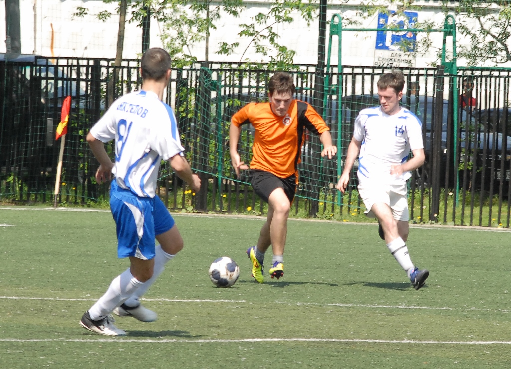DSC_8236 (1024x741).jpg