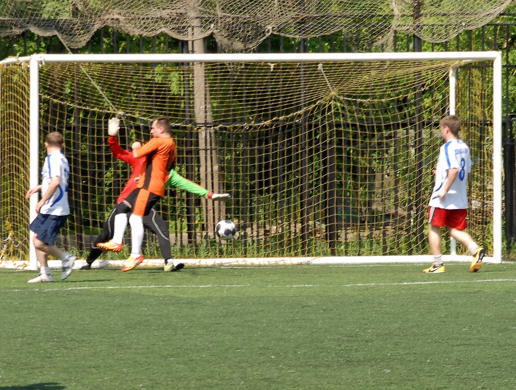 DSC_8235 (1024x774).jpg