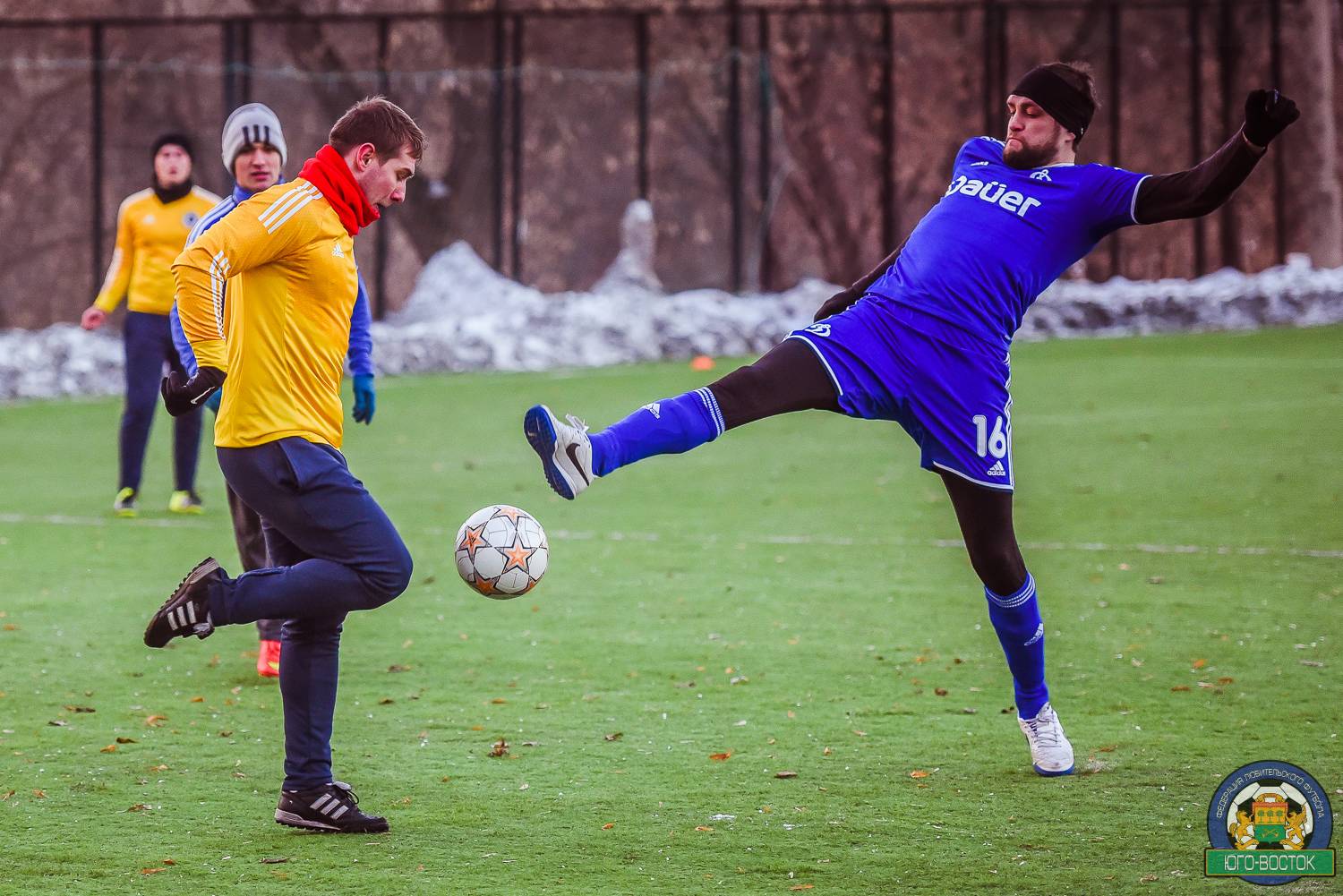 DSC_6917.jpg DSC_6917.jpg