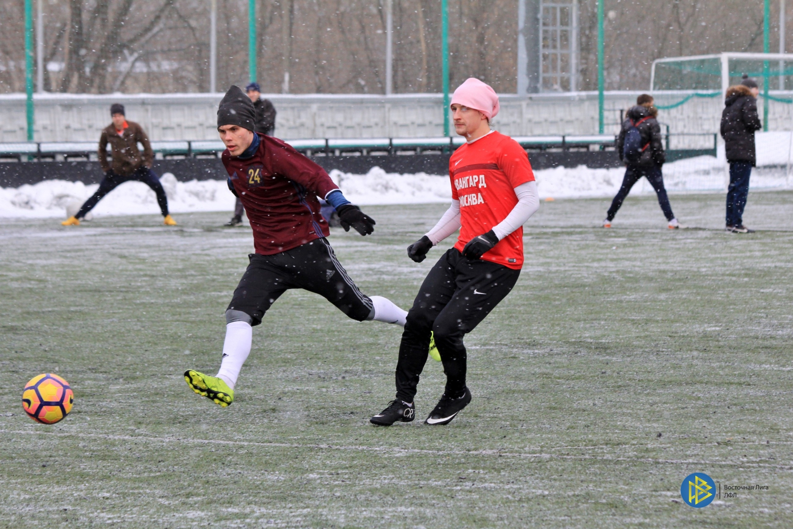 IMG_3836.jpg
