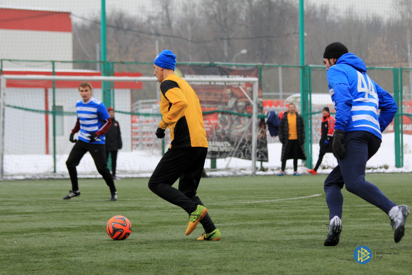 IMG_7284.jpg