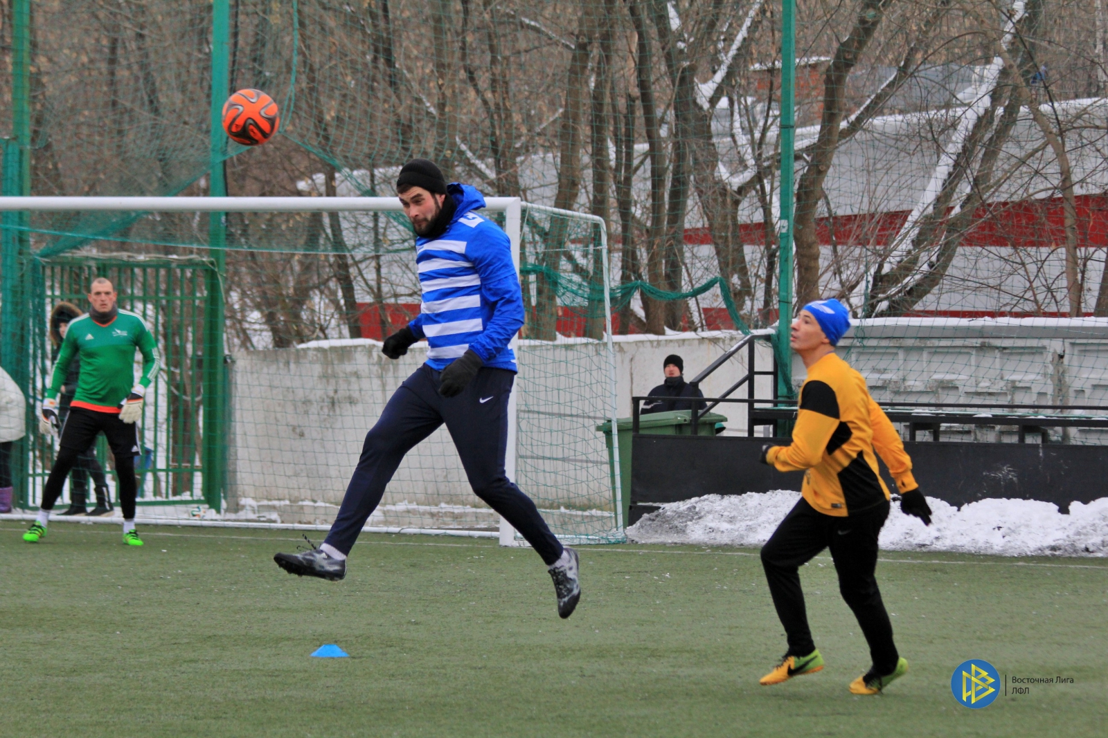 IMG_7294.jpg
