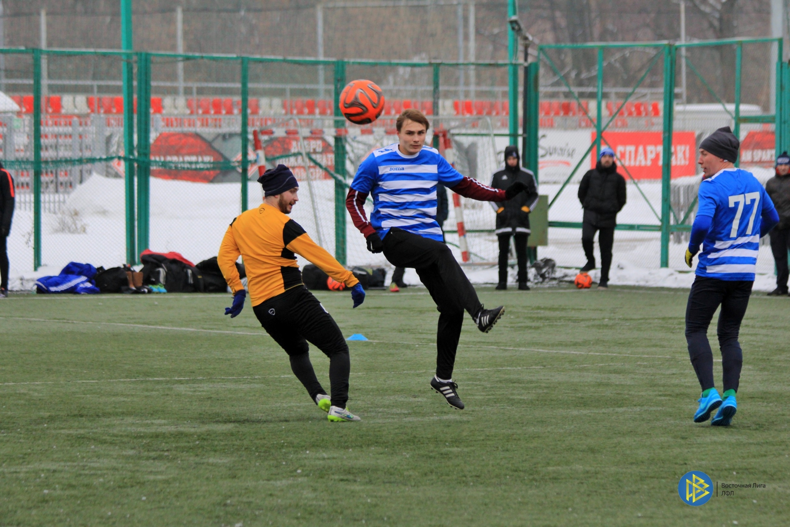 IMG_7298.jpg
