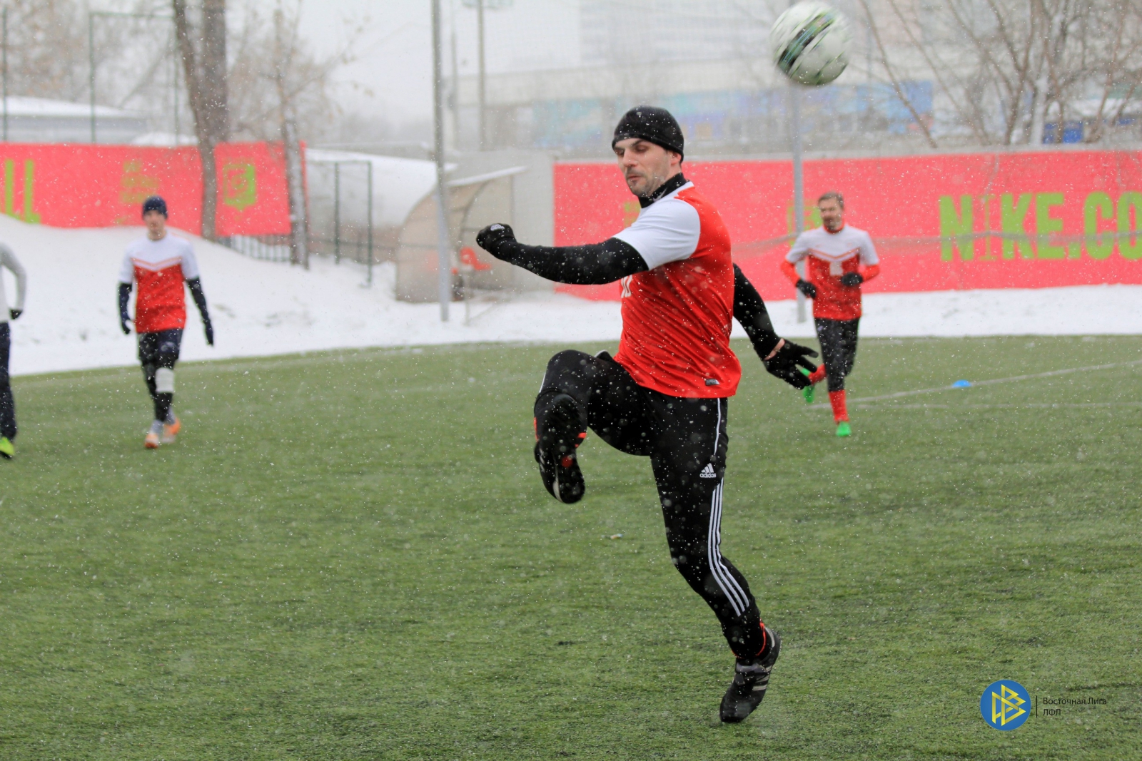 IMG_7746.jpg