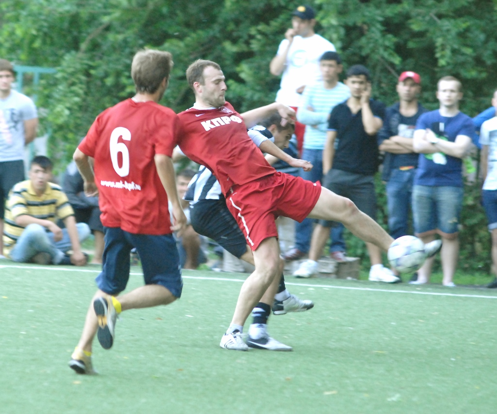 DSC_0259 (1024x852).jpg