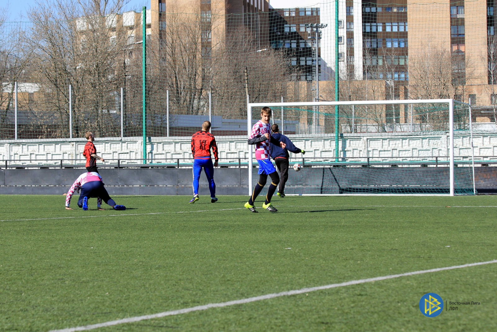 IMG_5477.jpg