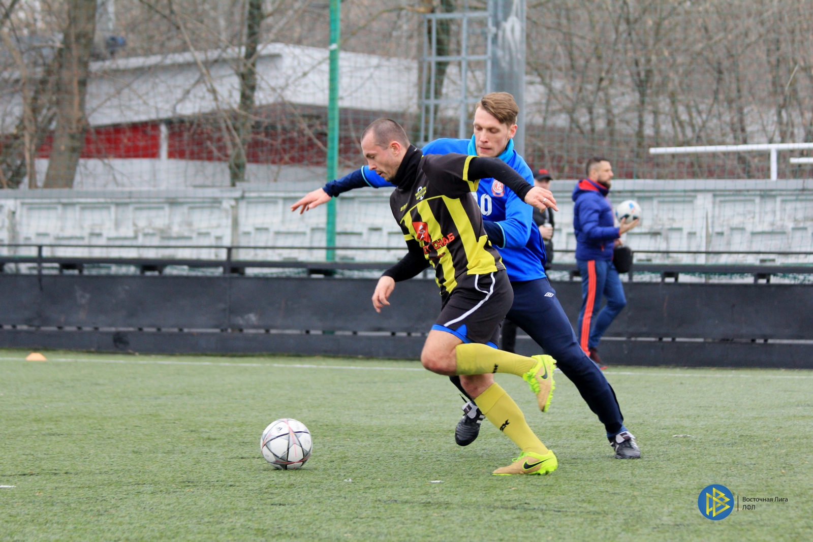 IMG_7968.jpg