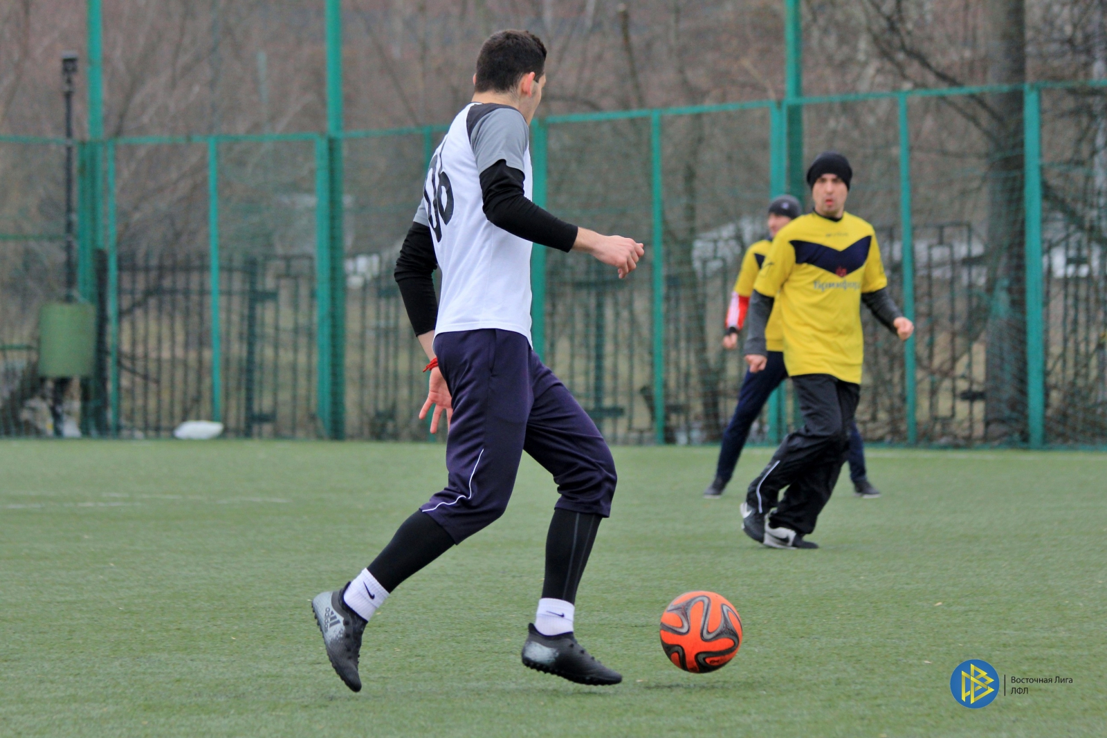 IMG_8529.jpg