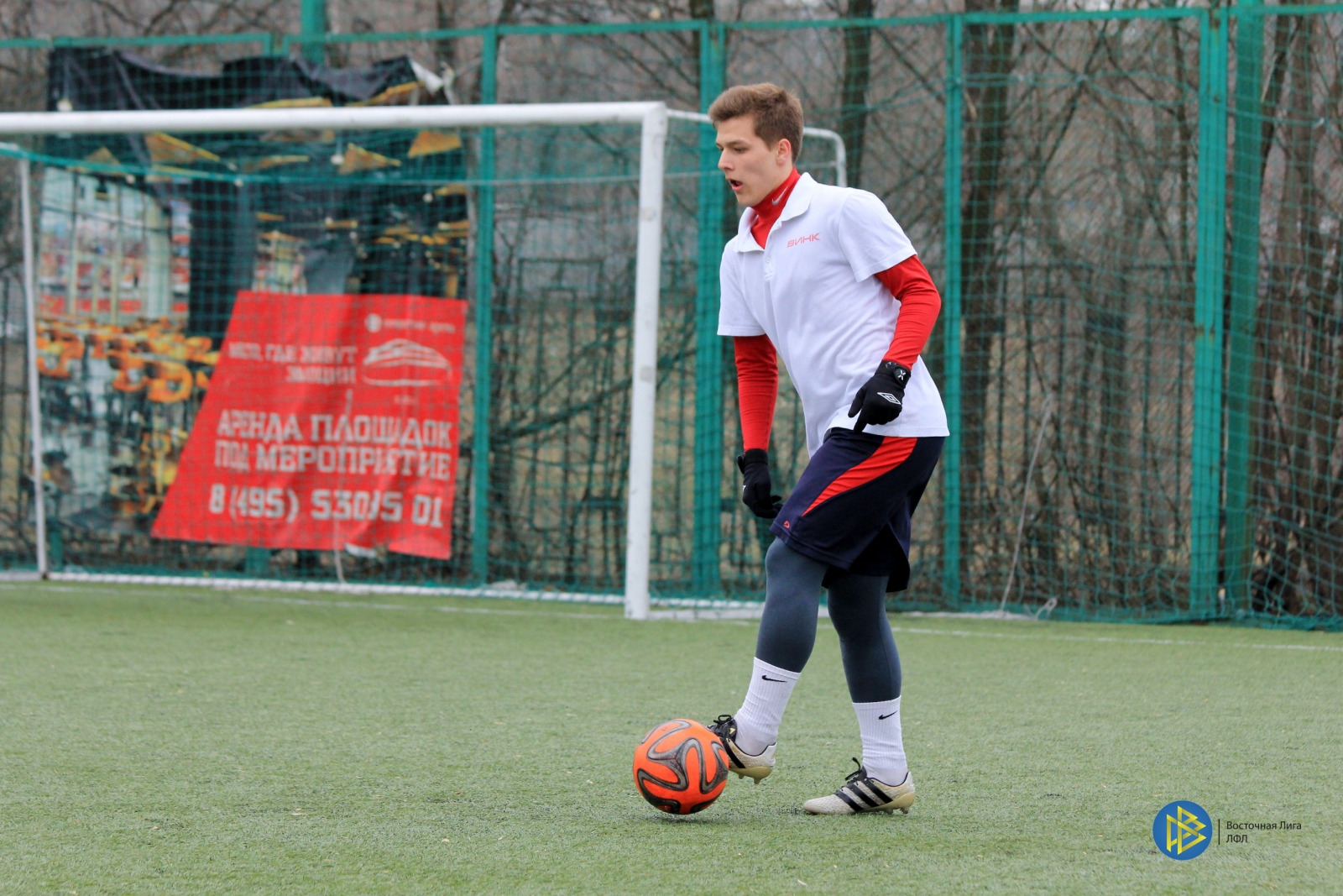 IMG_8460.jpg