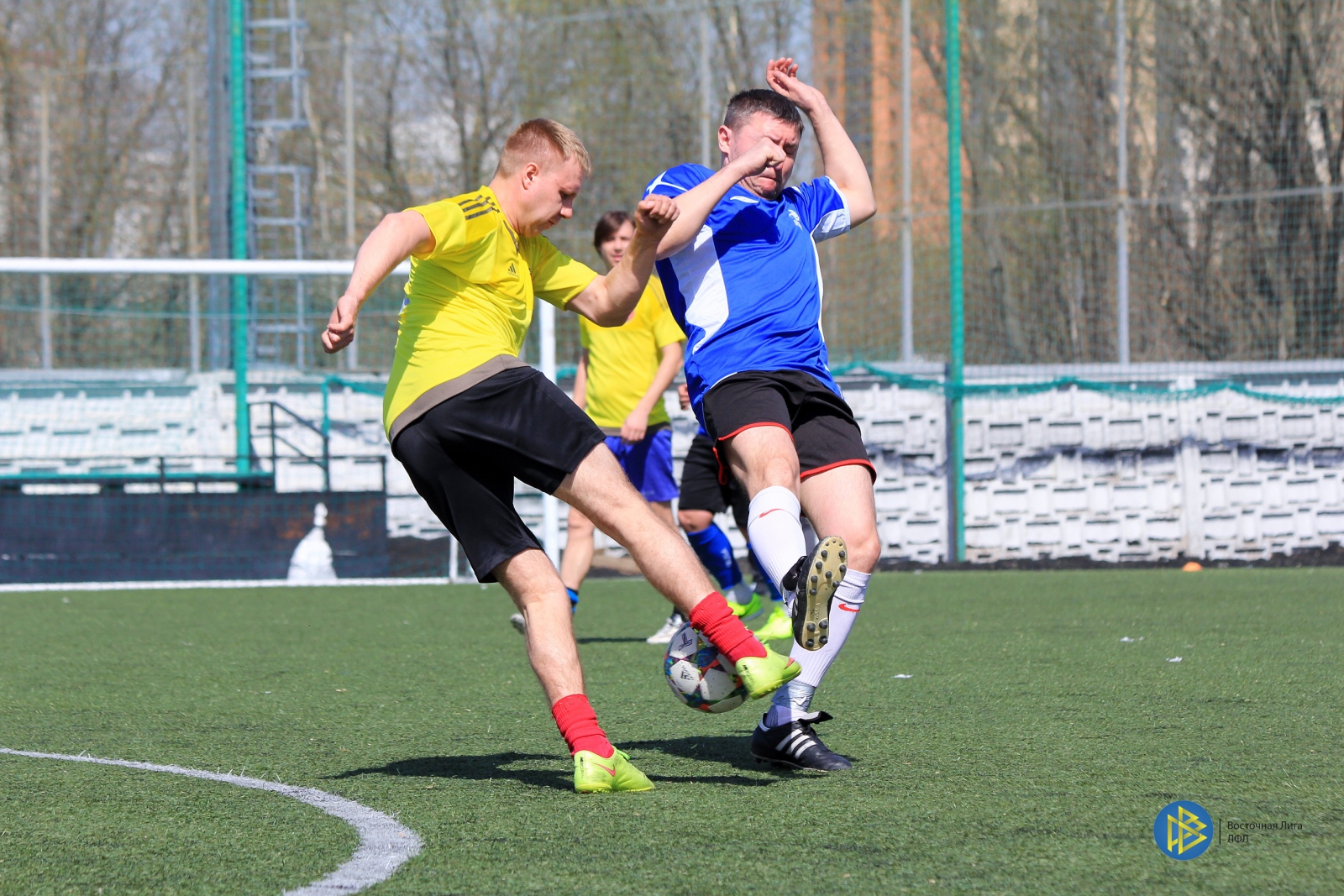 IMG_5900.jpg