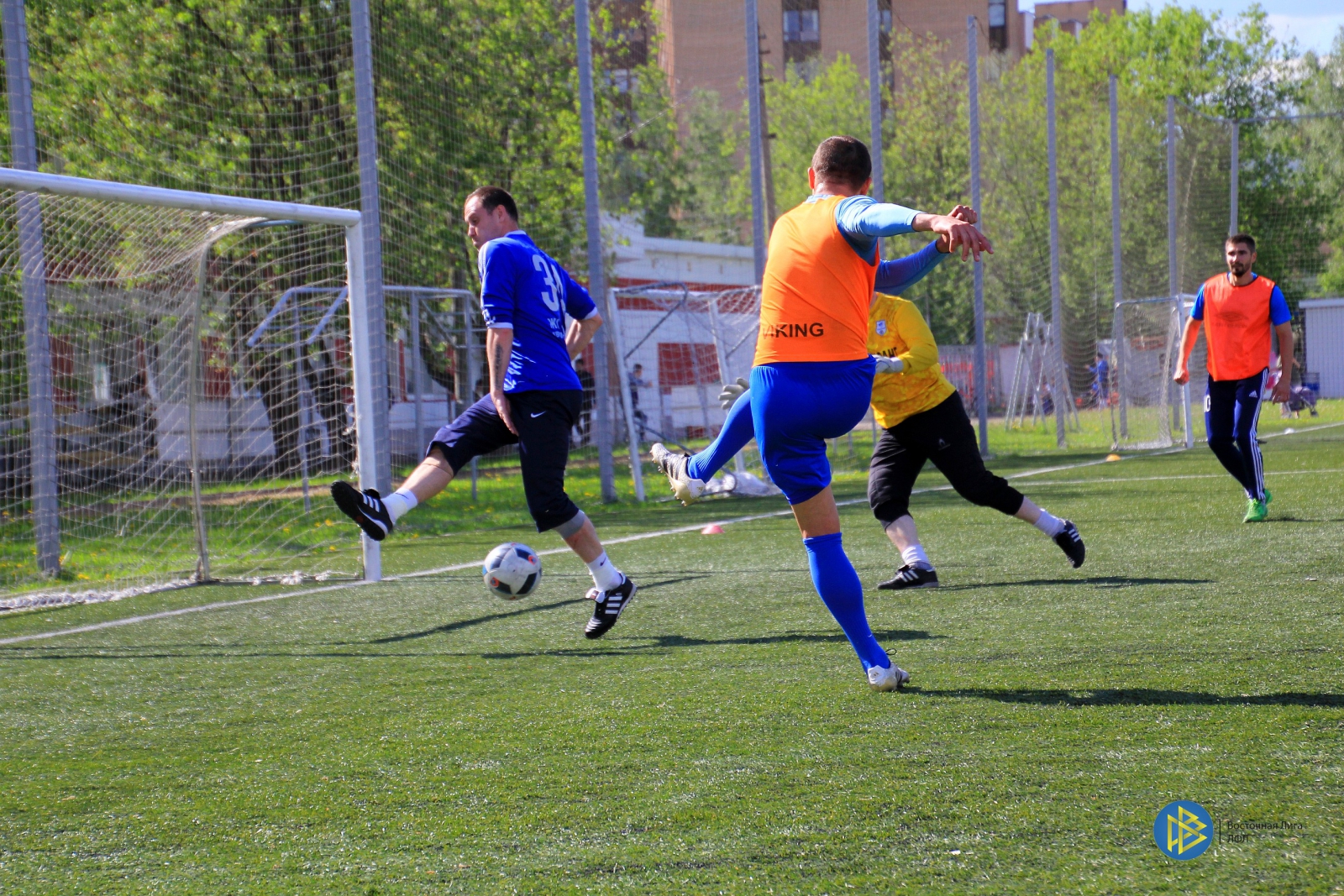 IMG_8568.jpg