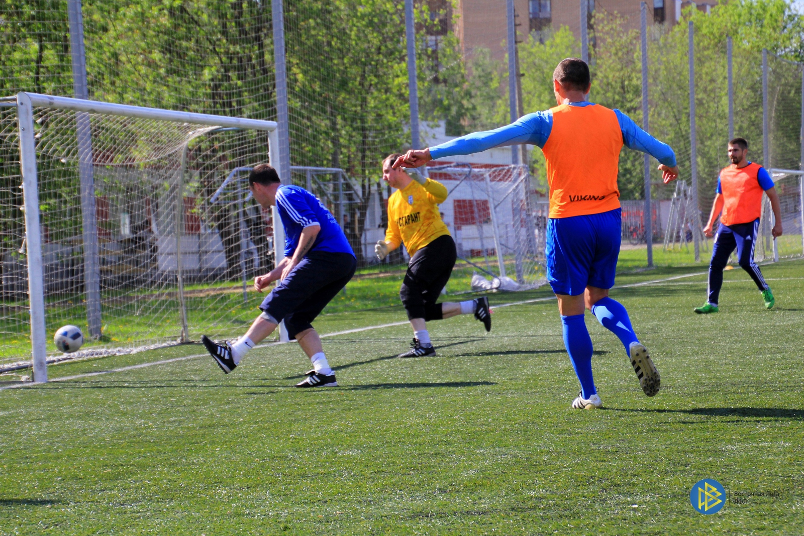 IMG_8569.jpg