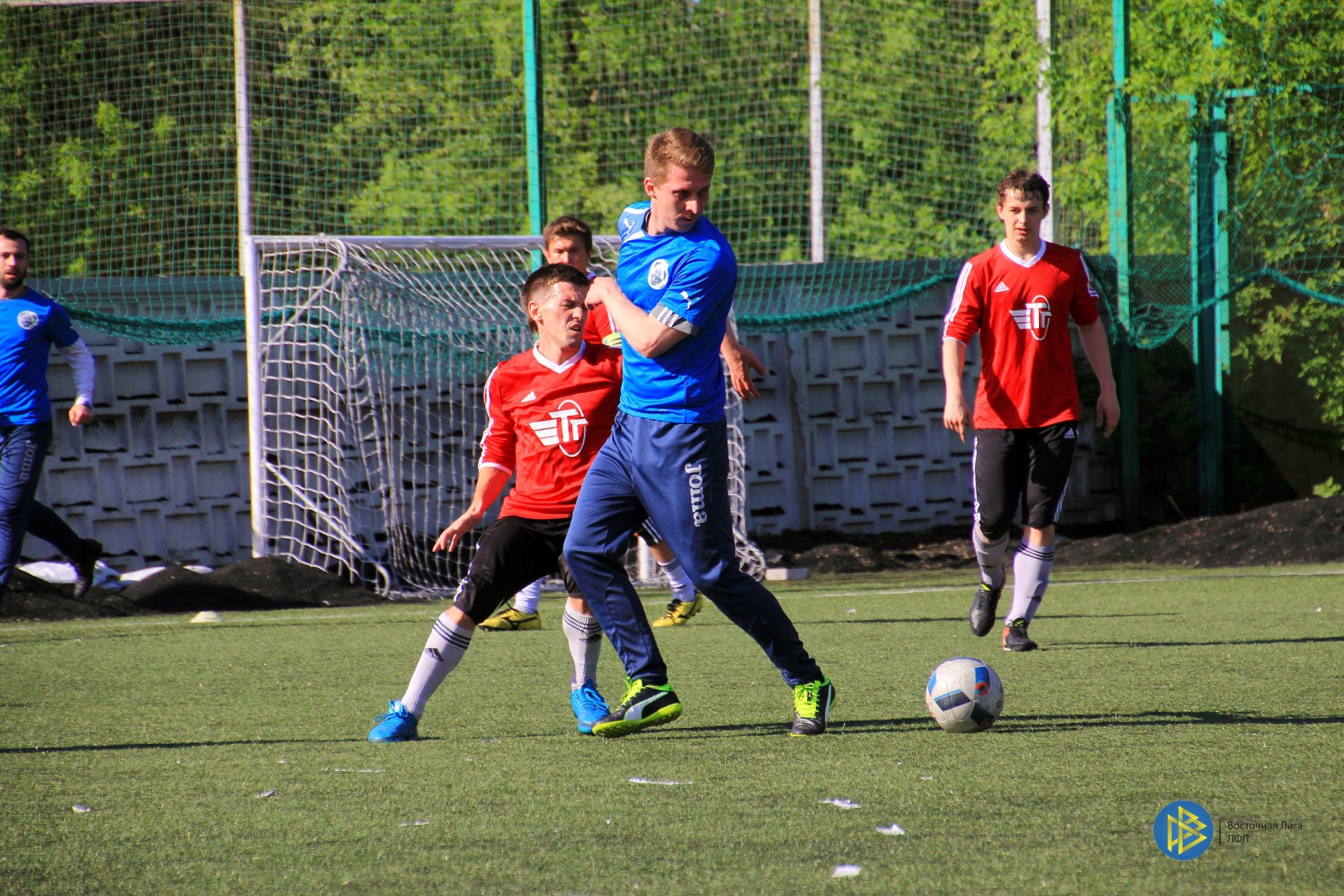 IMG_8816.jpg