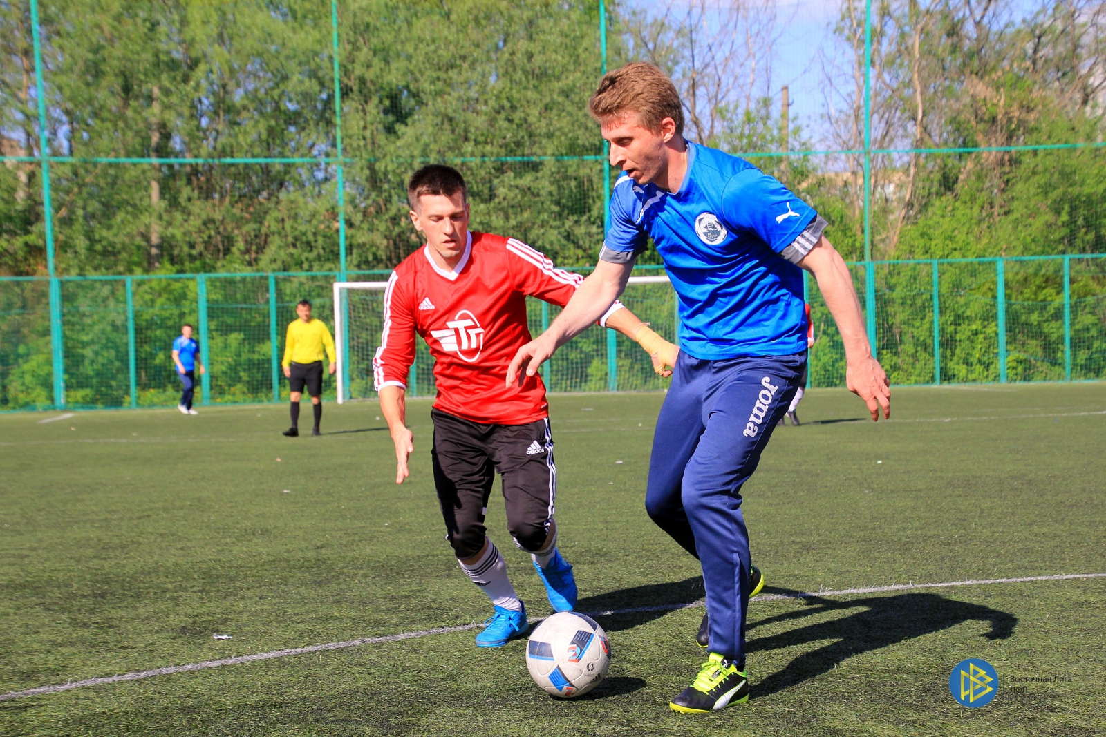 IMG_8796.jpg