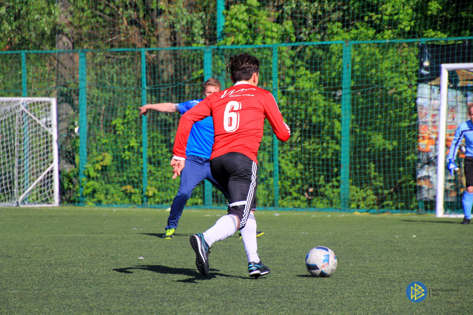 IMG_8803.jpg
