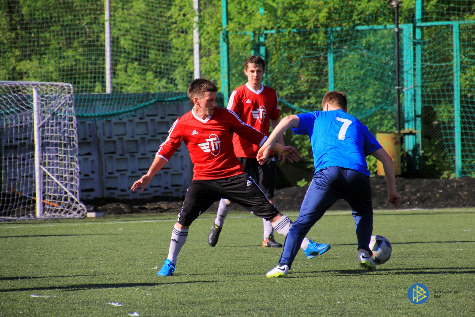 IMG_8817.jpg