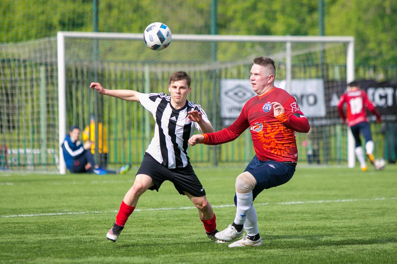 MH4A6573.jpg MH4A6573.jpg