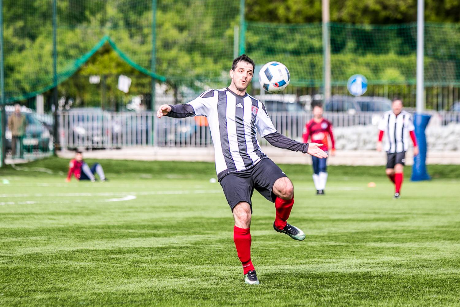 MH4A6570.jpg MH4A6570.jpg