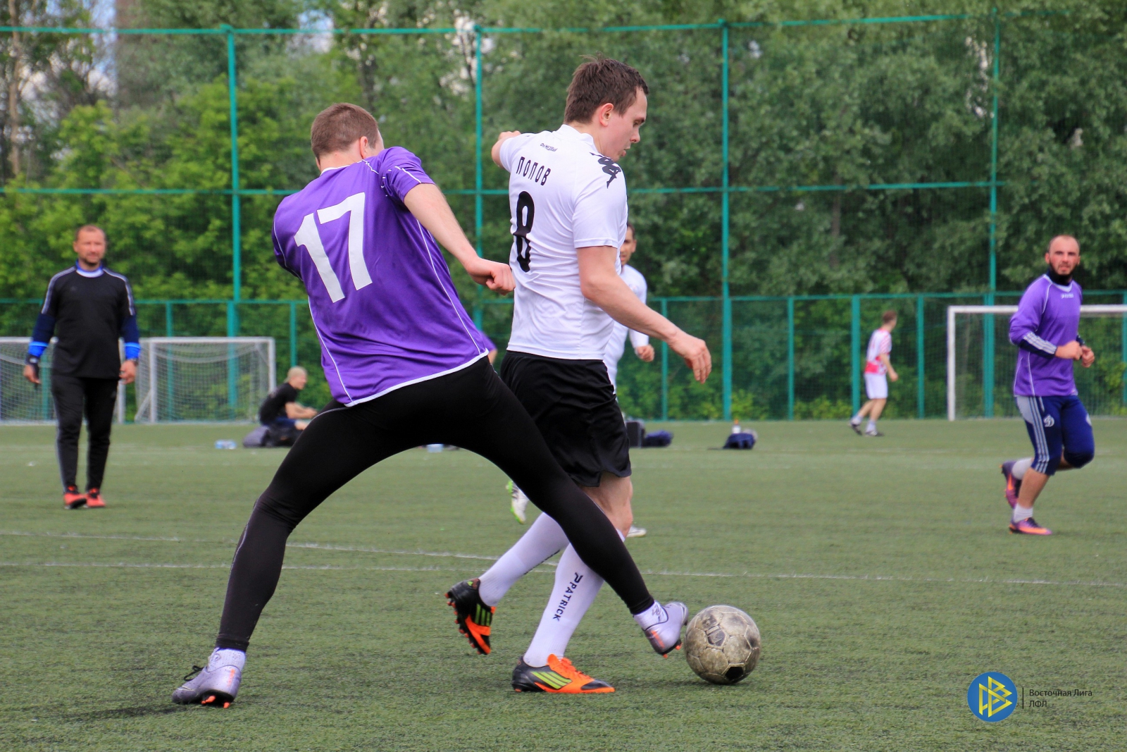 IMG_7481.jpg