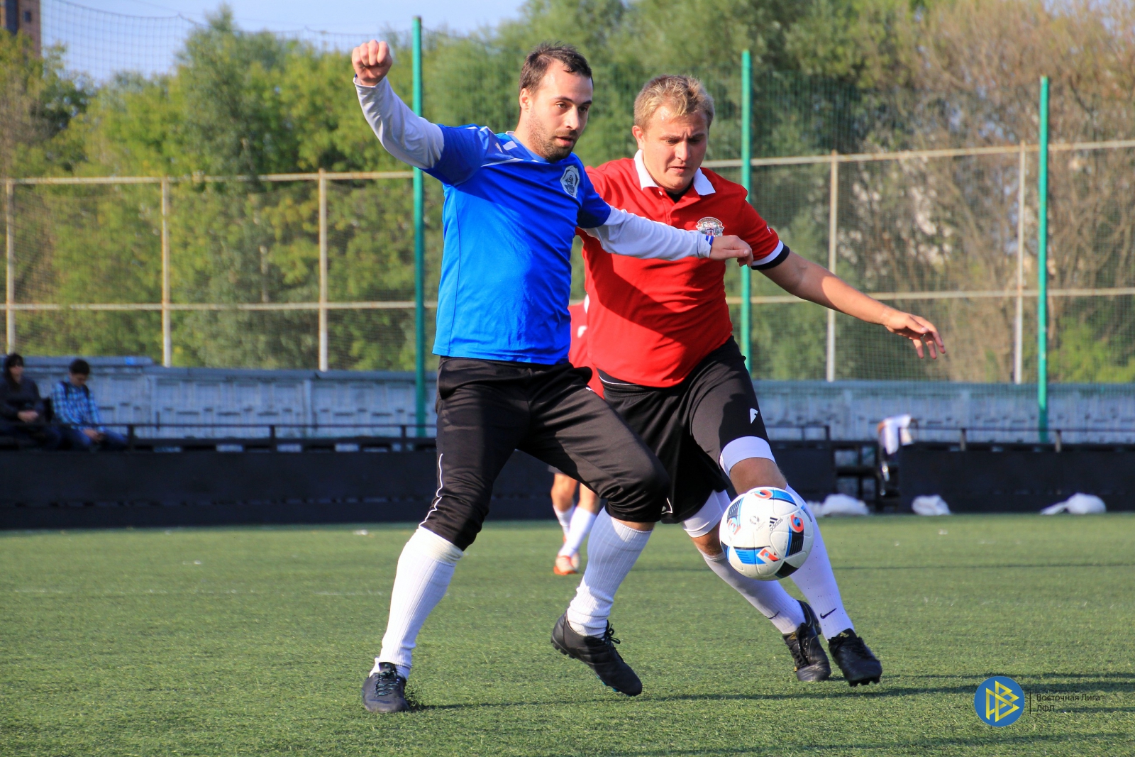 IMG_6690.jpg
