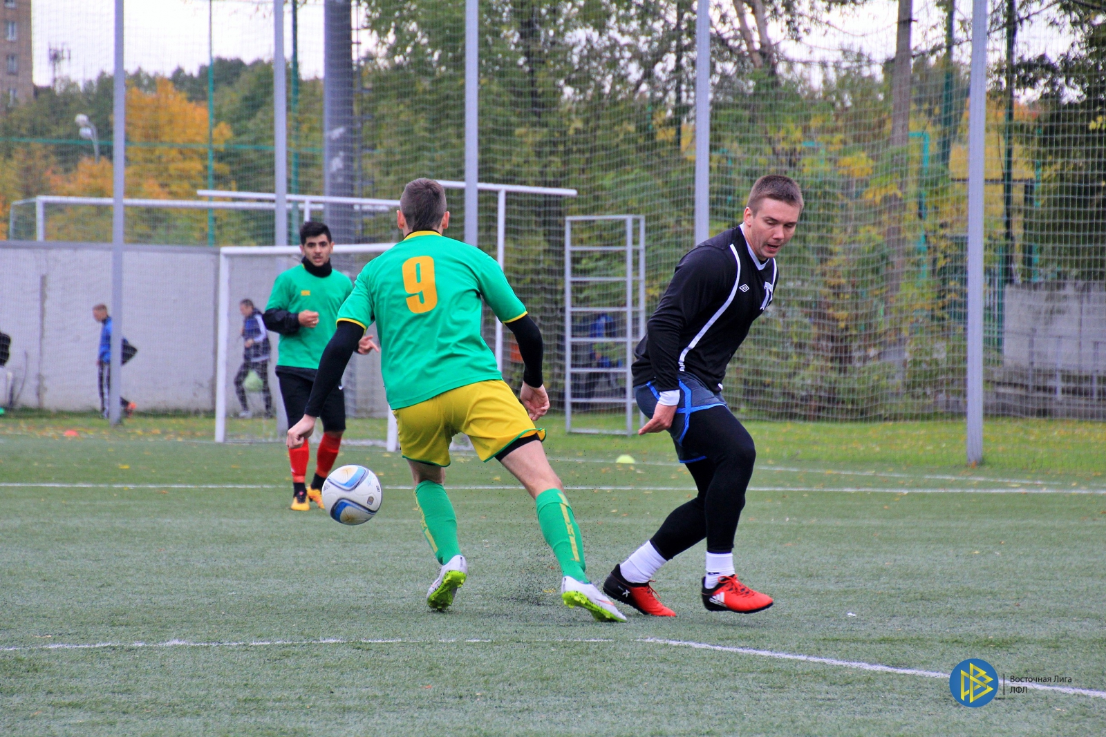 IMG_2656.jpg