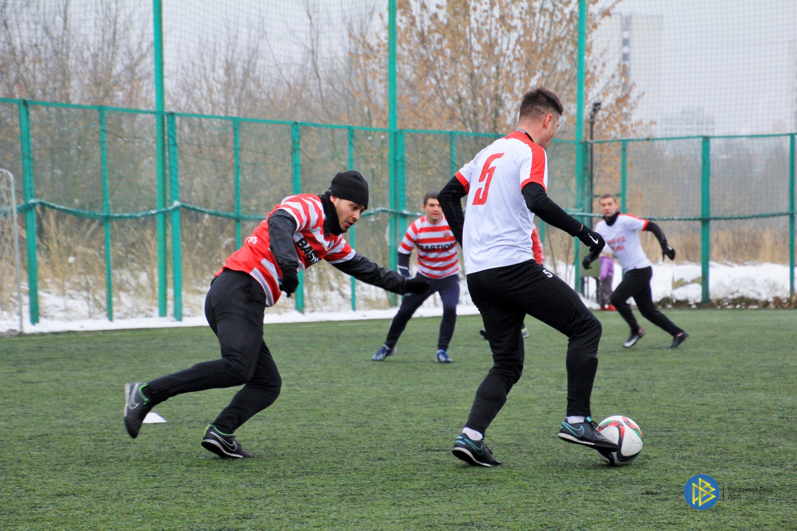 IMG_7729.jpg