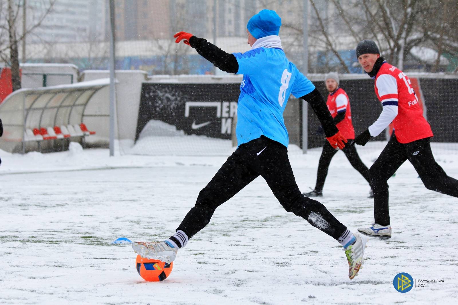 IMG_3113.jpg IMG_3113.jpg