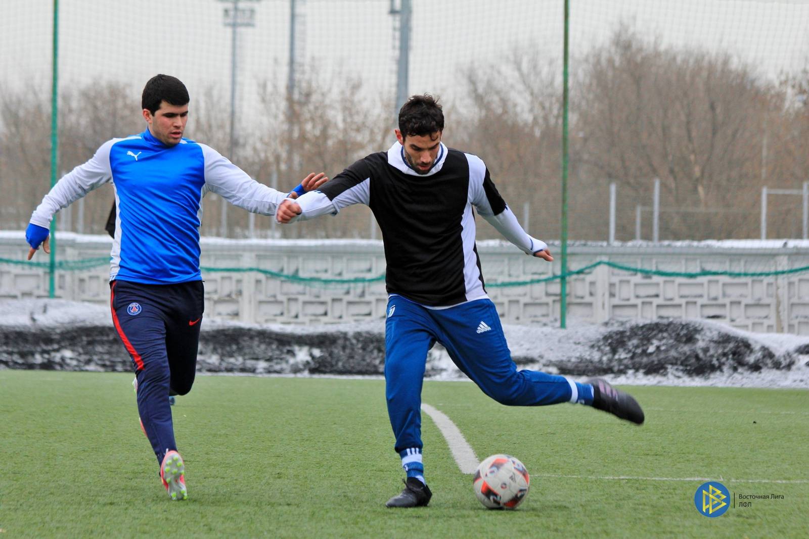 IMG_5071.jpg IMG_5071.jpg