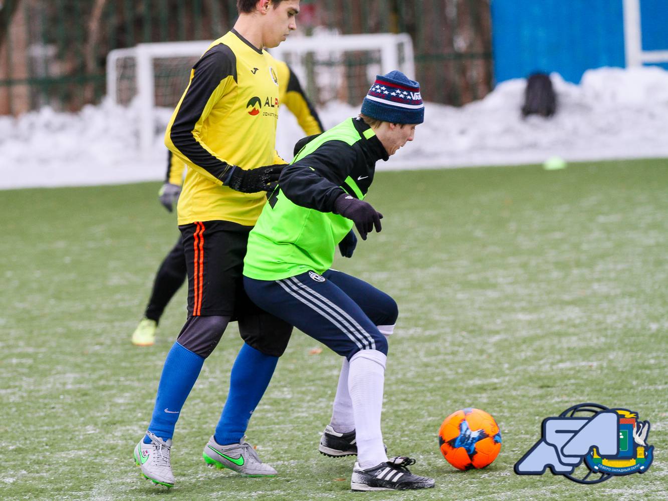 IMG 4964