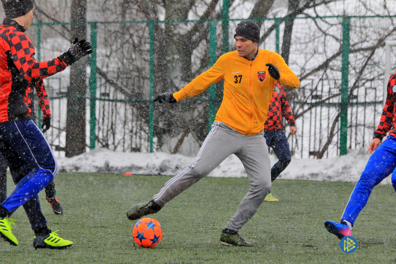 IMG_6254.jpg IMG_6254.jpg