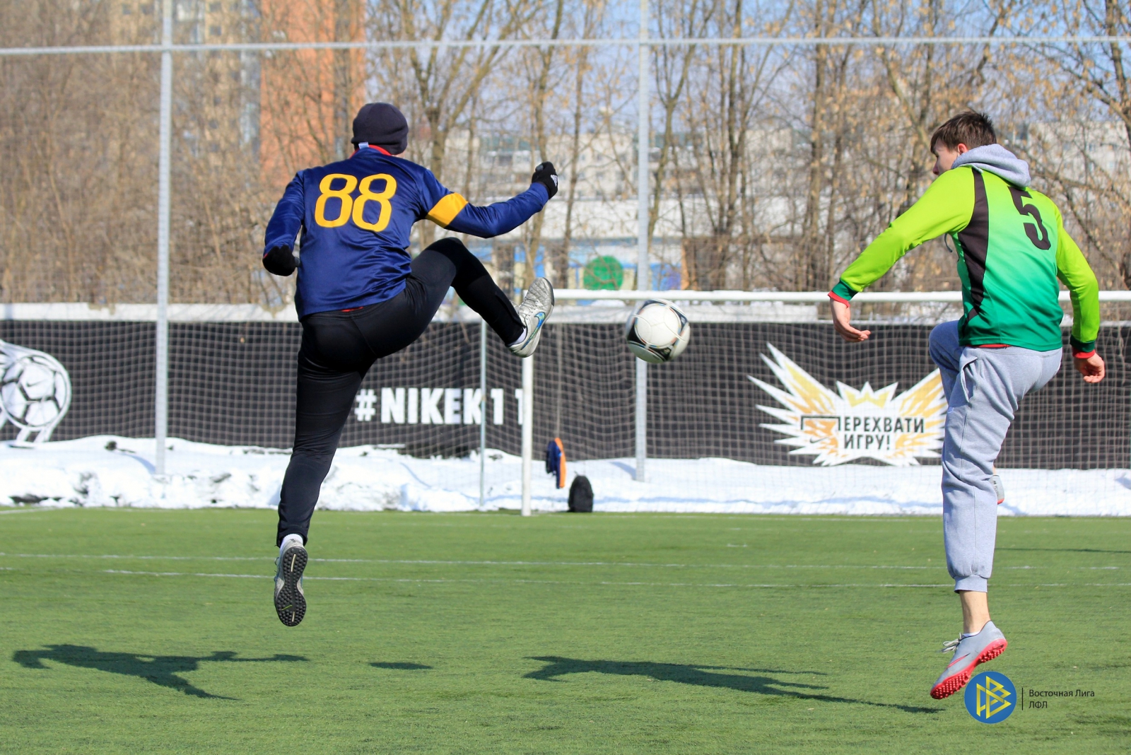 IMG_8988.jpg IMG_8988.jpg