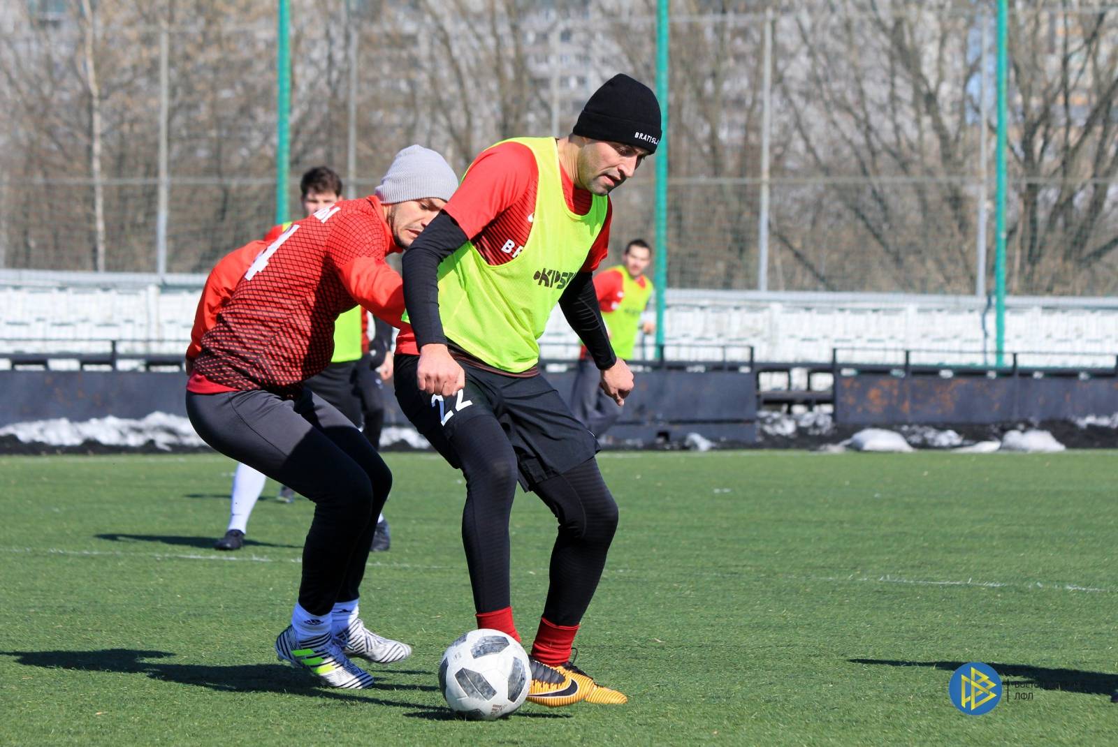 IMG_2229.jpg IMG_2229.jpg